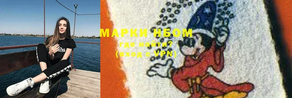 индика Куйбышев