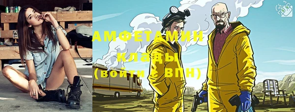 индика Куйбышев