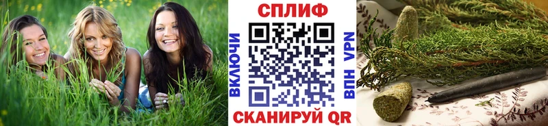 Купить где  Новомосковск  Бошки Шишки SATIVA & INDICA 